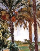 Joaquin Sorolla Palm china oil painting artist